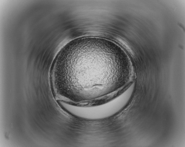 X0000091181283200708161510