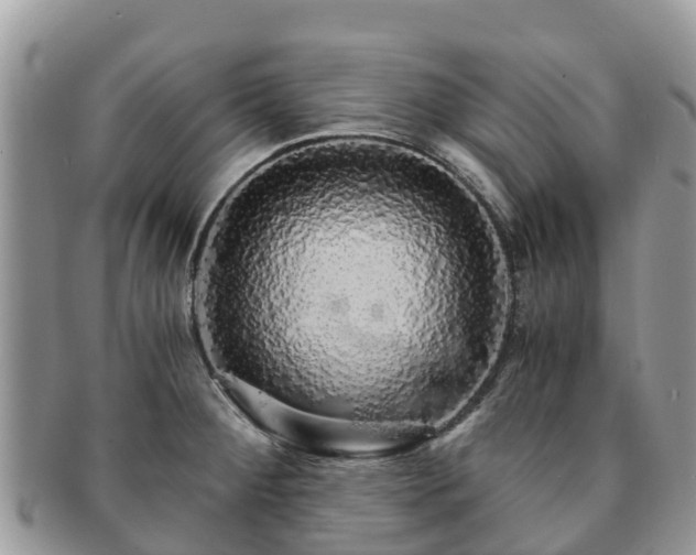 X0000091181284200708161510