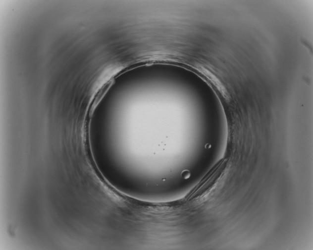 X0000091181285200708161510