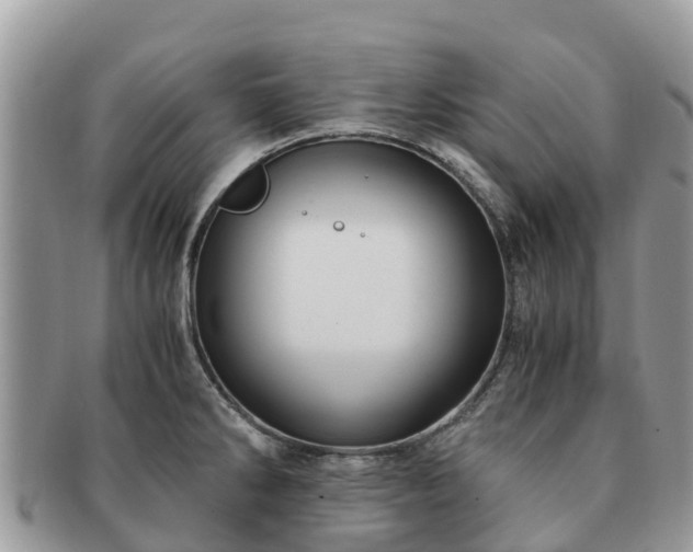 X0000091181286200708161510