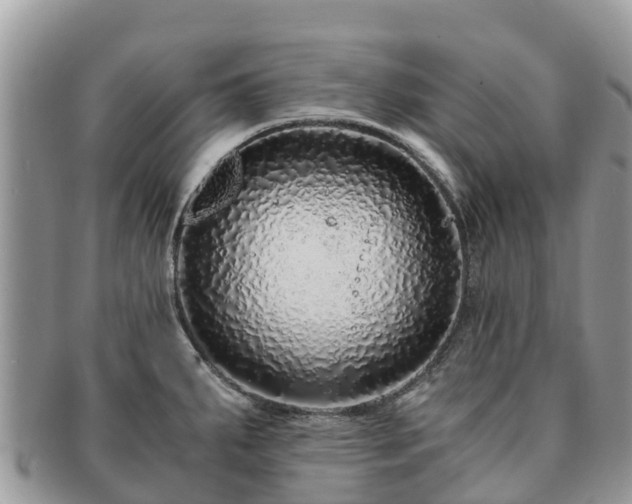 X0000091181287200708161510
