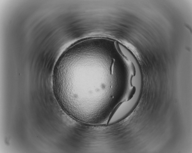 X0000091181288200708161510