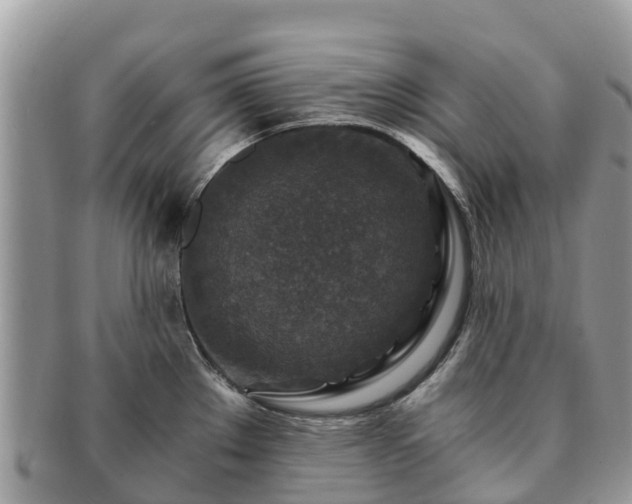 X0000091181289200708161510
