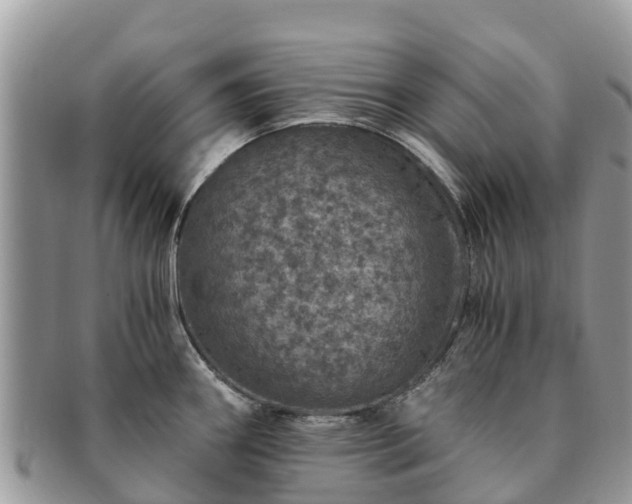 X0000091181290200708161510