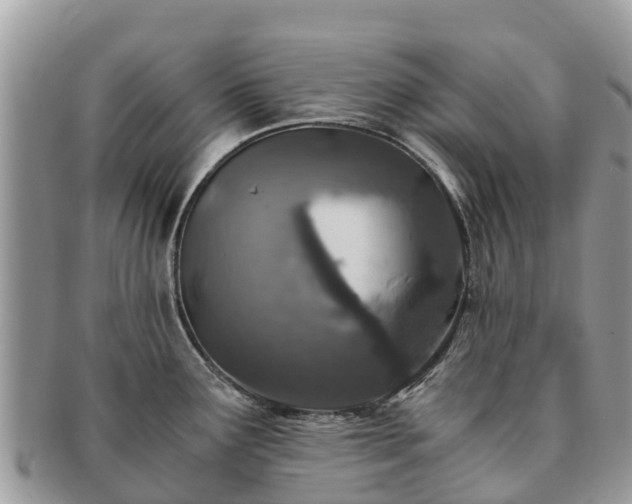 X0000091181291200708161510