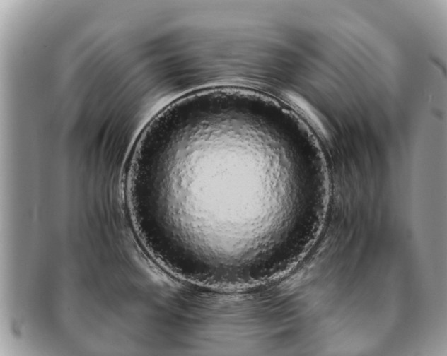 X0000091181292200708161510