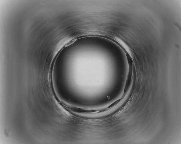 X0000091181293200708161510