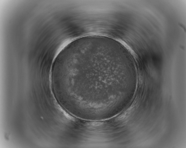 X0000091181294200708161510
