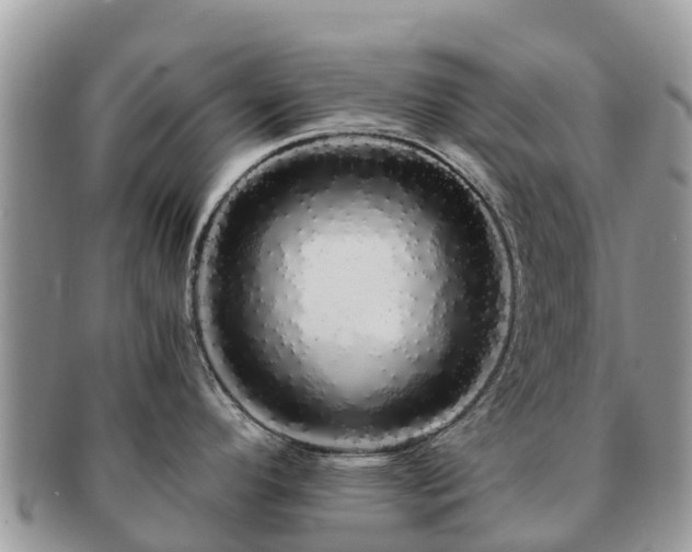 X0000091181296200708161510