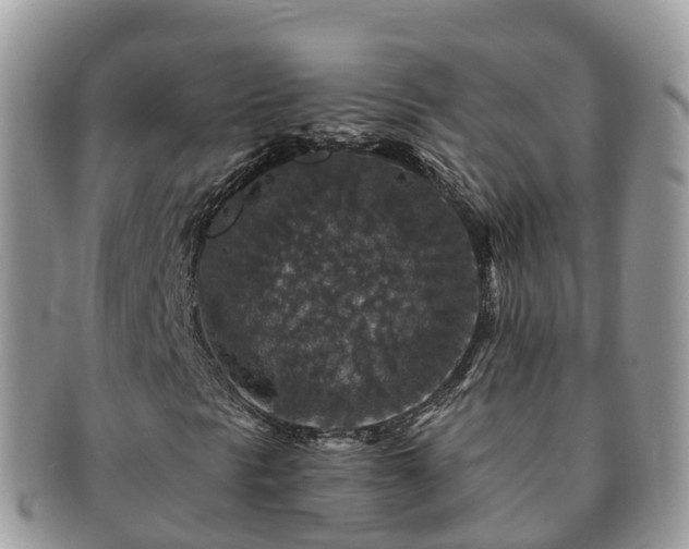 X0000091181297200708161510