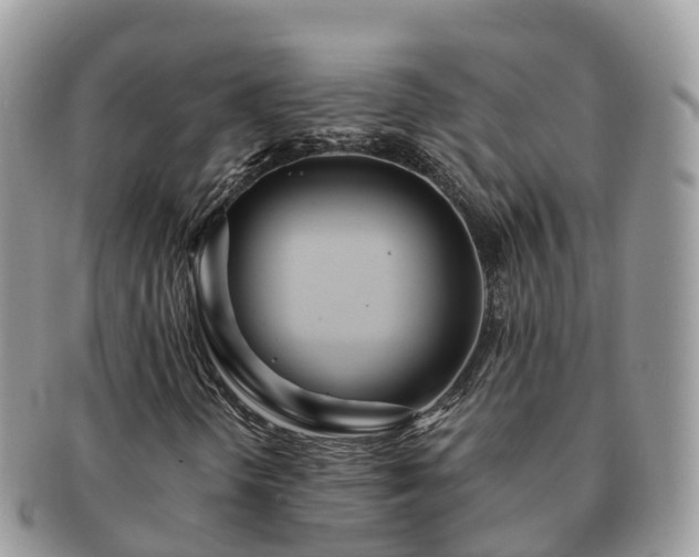X0000091181298200708161510