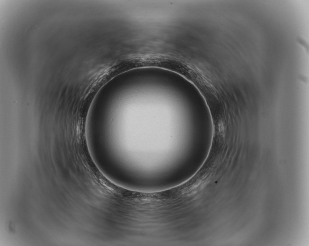 X0000091181300200708161510