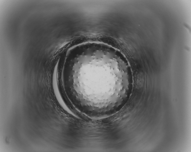 X0000091181301200708161510