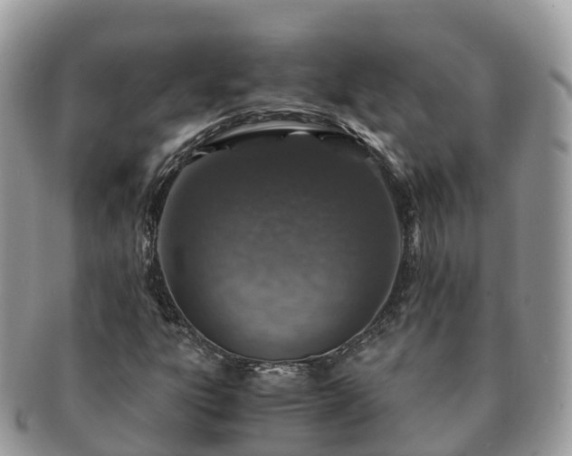 X0000091181303200708161510