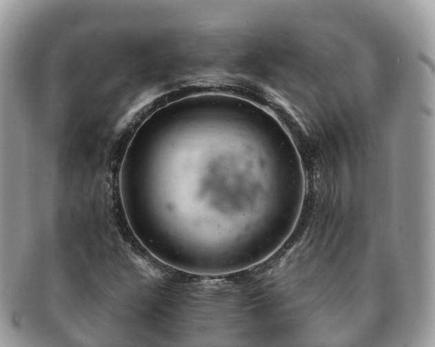 X0000091181304200708161510