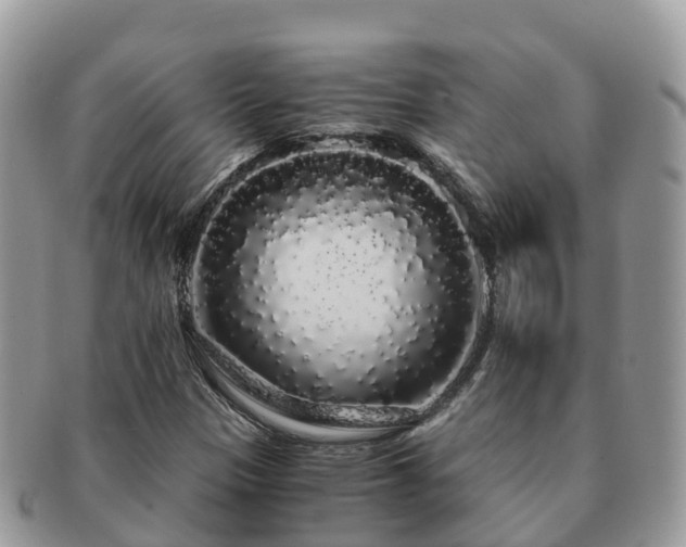 X0000091181305200708161510