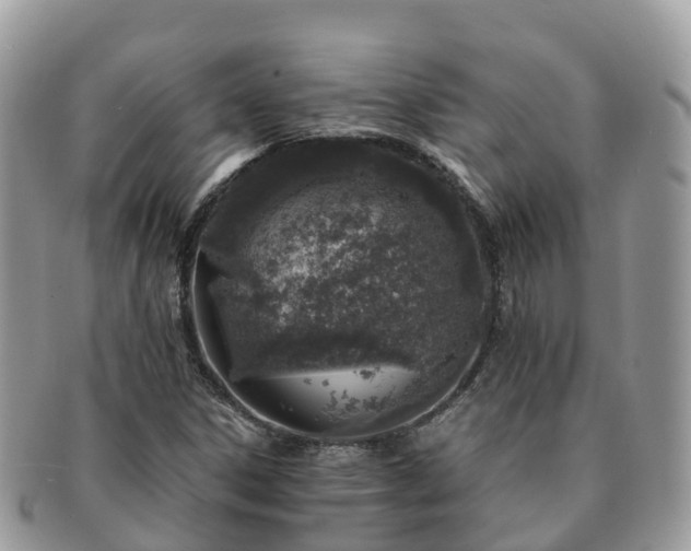 X0000091181306200708161510