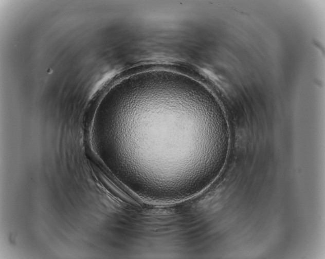 X0000091181307200708161510