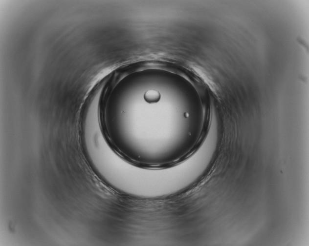 X0000091181308200708161510