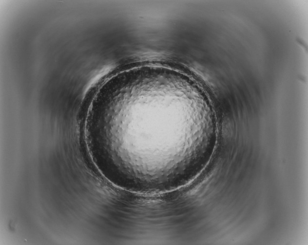 X0000091181309200708161510