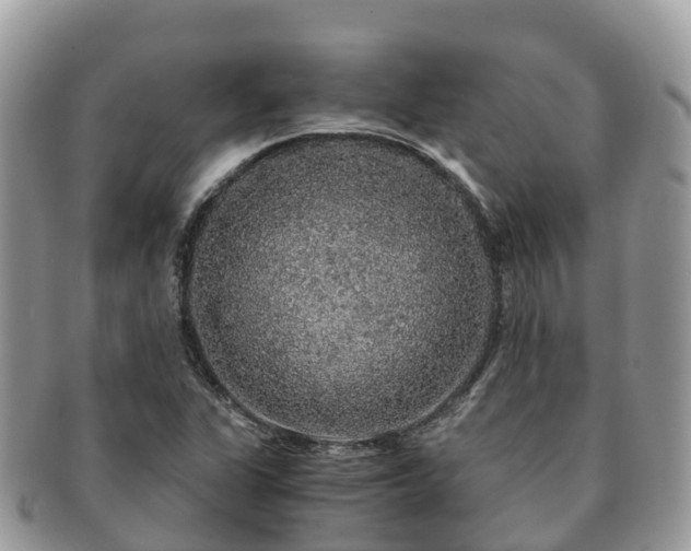X0000091181311200708161510