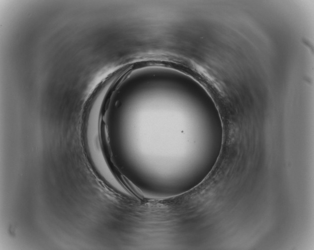 X0000091181312200708161510
