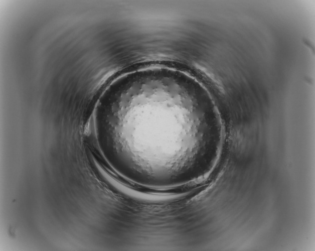 X0000091181313200708161510