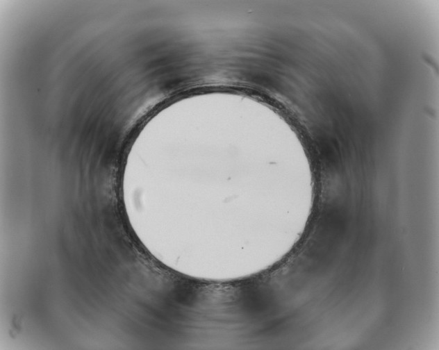 X0000091181314200708161510