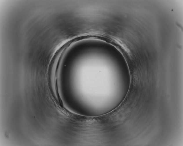 X0000091181316200708161510