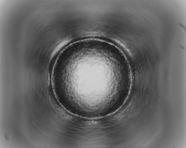 X0000091181317200708161510