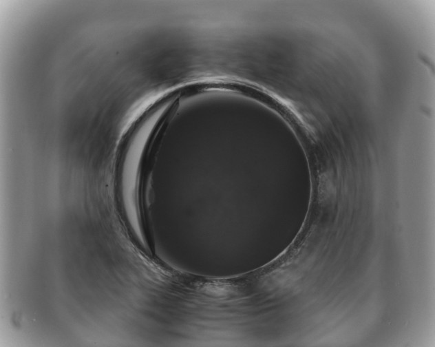 X0000091181319200708161510