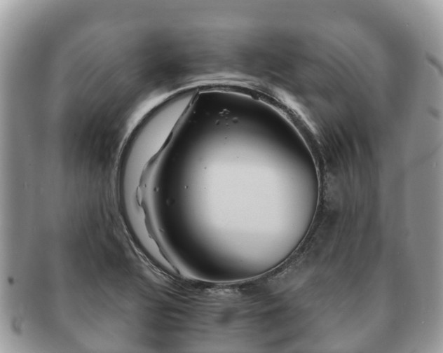 X0000091181320200708161510