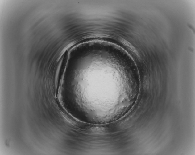X0000091181321200708161510