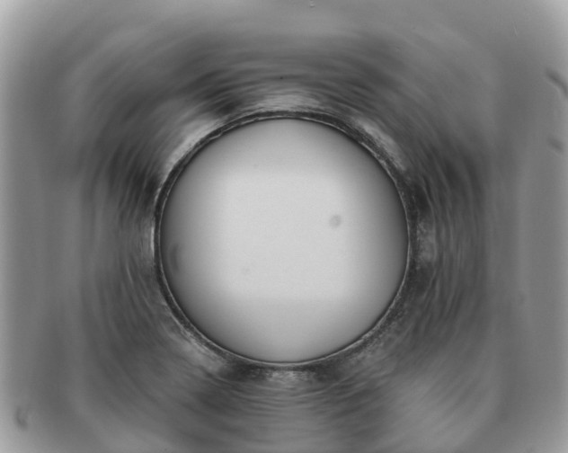 X0000091181322200708161510