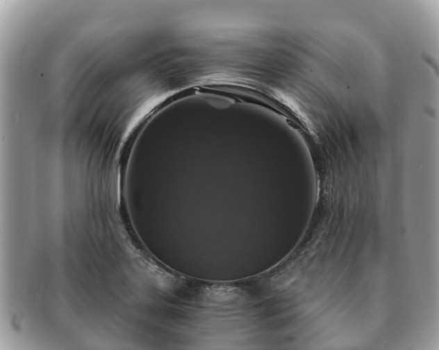 X0000091181323200708161510