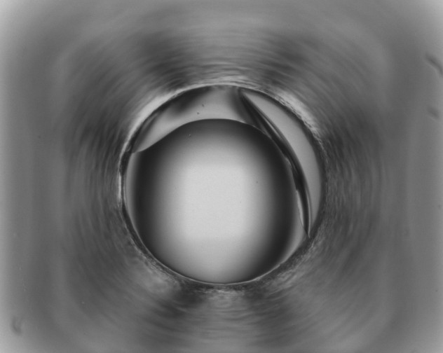 X0000091181324200708161510