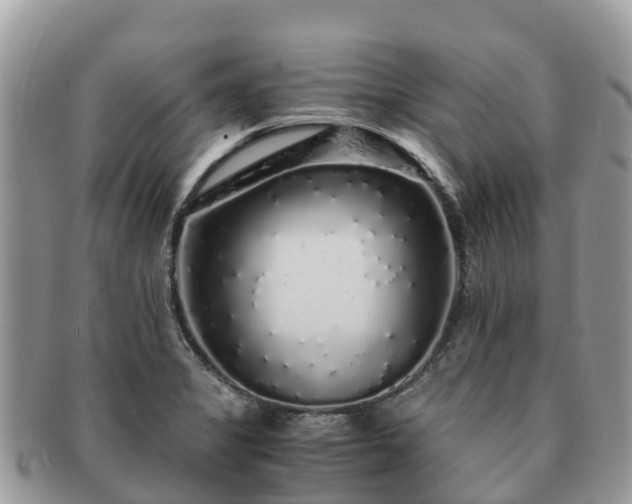 X0000091181325200708161510