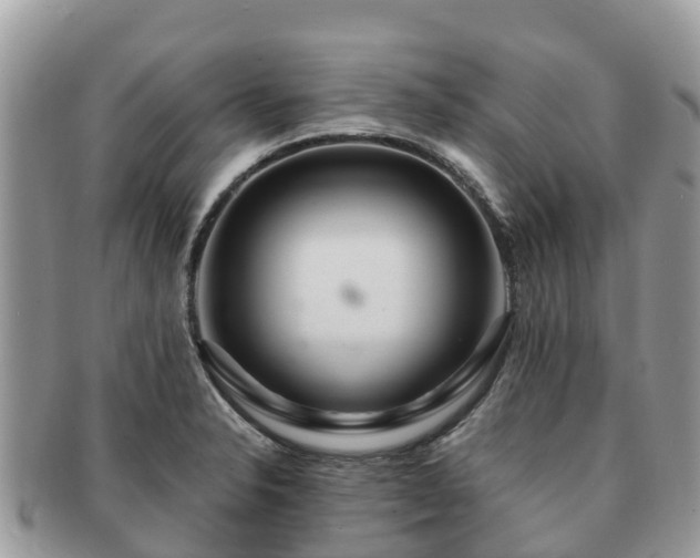 X0000091181326200708161510