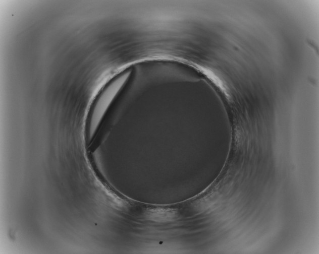 X0000091181327200708161510