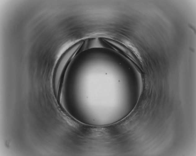X0000091181328200708161510