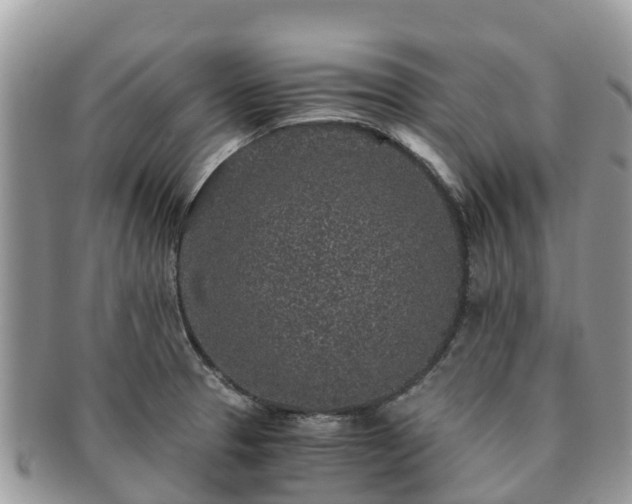 X0000091181329200708161510