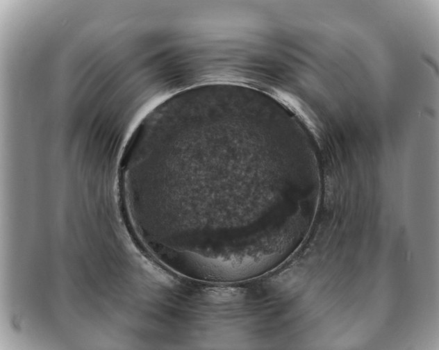 X0000091181331200708161510