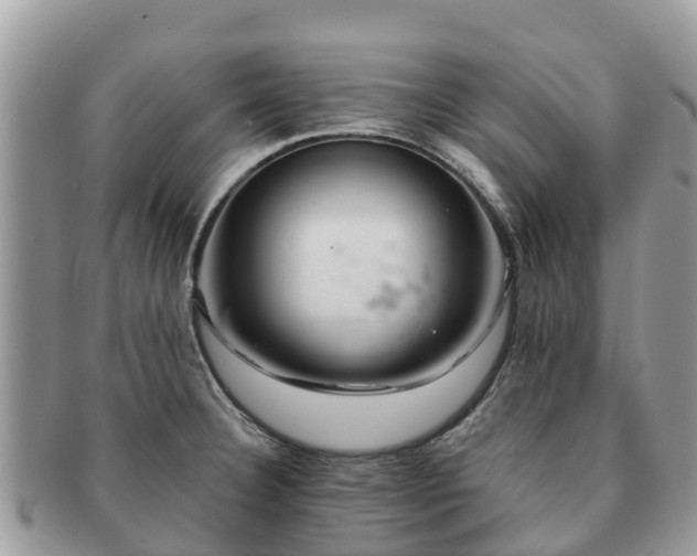 X0000091181332200708161510