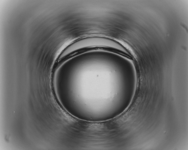 X0000091181333200708161510