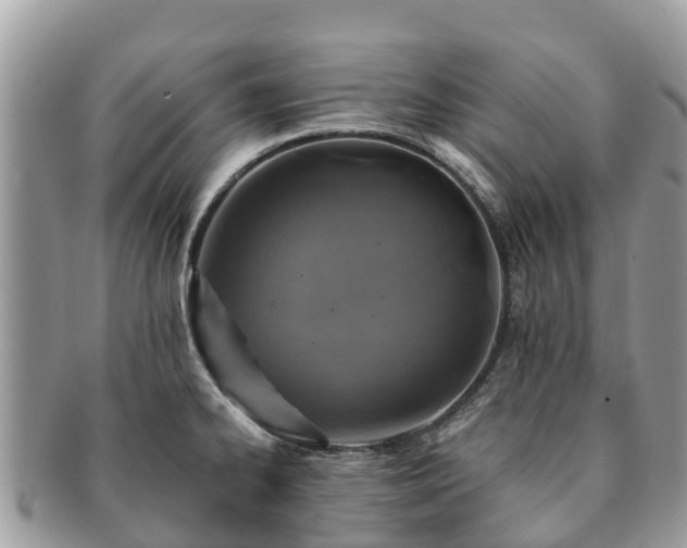 X0000091181334200708161510