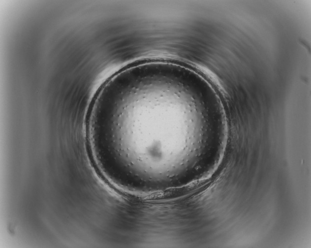 X0000091181335200708161510