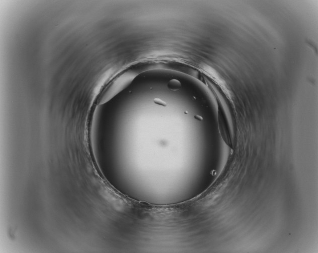 X0000091181336200708161510