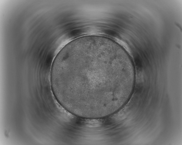 X0000091181338200708161510