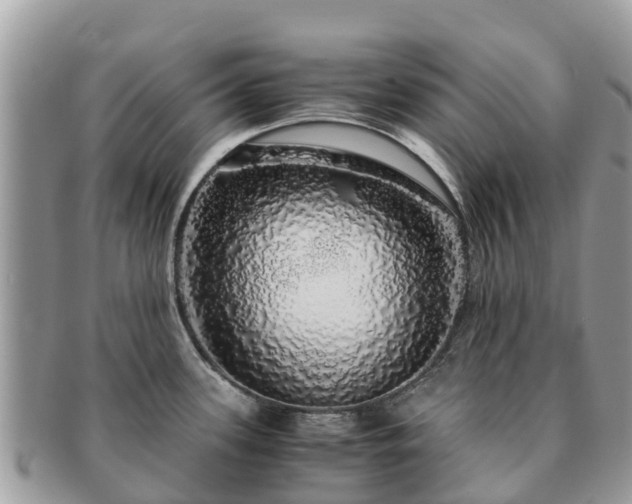 X0000091181339200708161510
