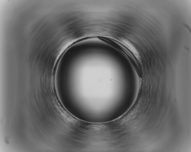 X0000091181340200708161510